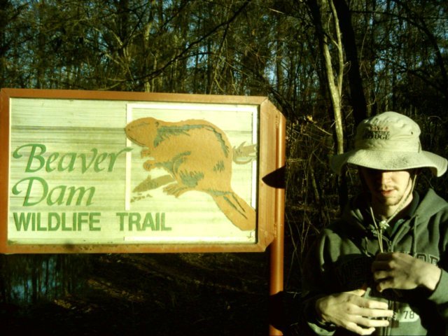 beaverdamtrail2.jpg