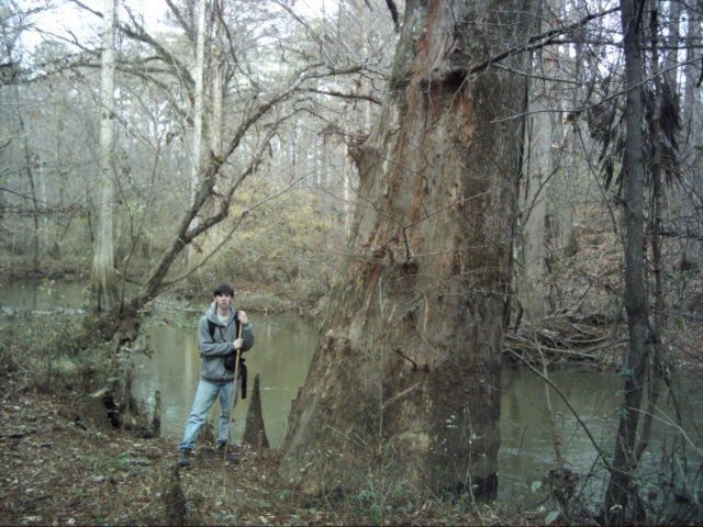 favoritetreeinnoxubeeonthebeaverdamtrail.jpg
