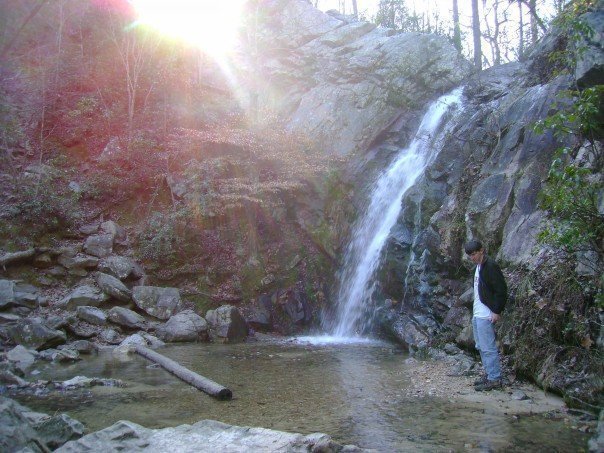 peavinefalls.jpg