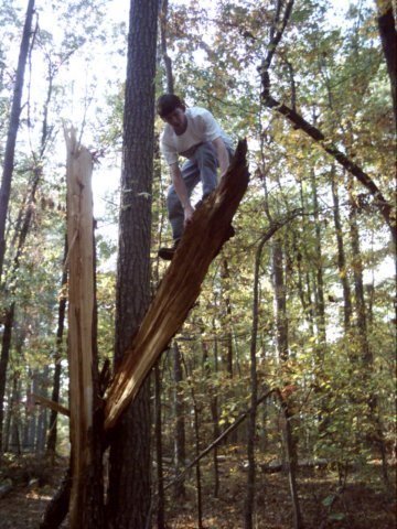 scattertowntrail.jpg
