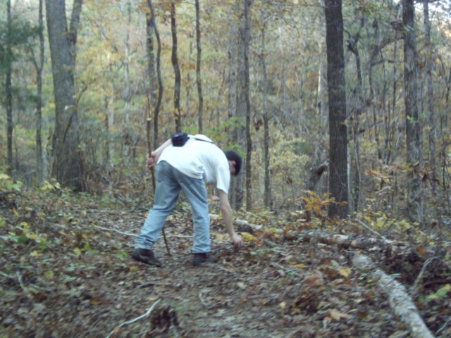 scattertowntrail2.jpg